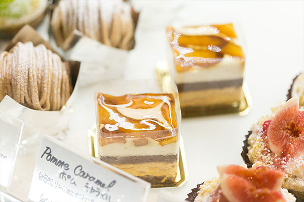 ショーケース